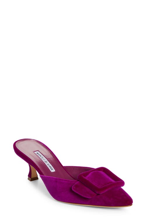 Shop Manolo Blahnik Maysale Buckle Pointed Toe Mule In Purple