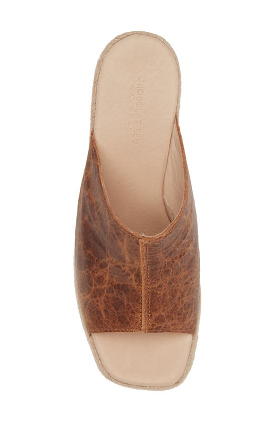 Shop Chocolat Blu Sella Espadrille Platform Wedge Sandal In Brown Leather