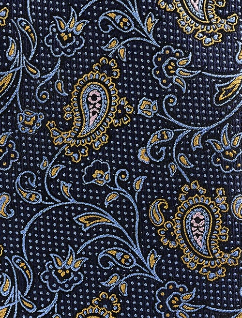 Oak Hill Premium By Dxl Oak Hill Premium Paisley Vines Tie In Navy