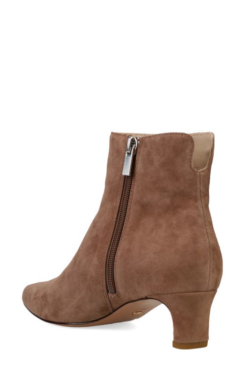 Pelle Moda Galia 2 Bootie In Taupe