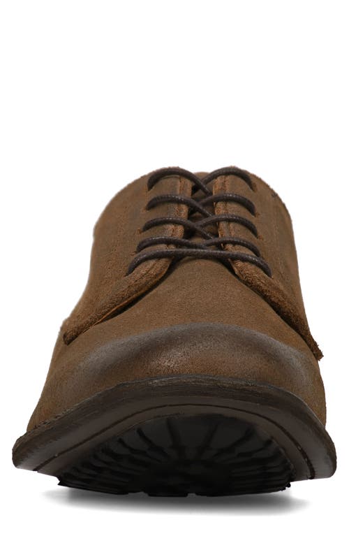 Shop Frye Tyler Flex Derby In Bark