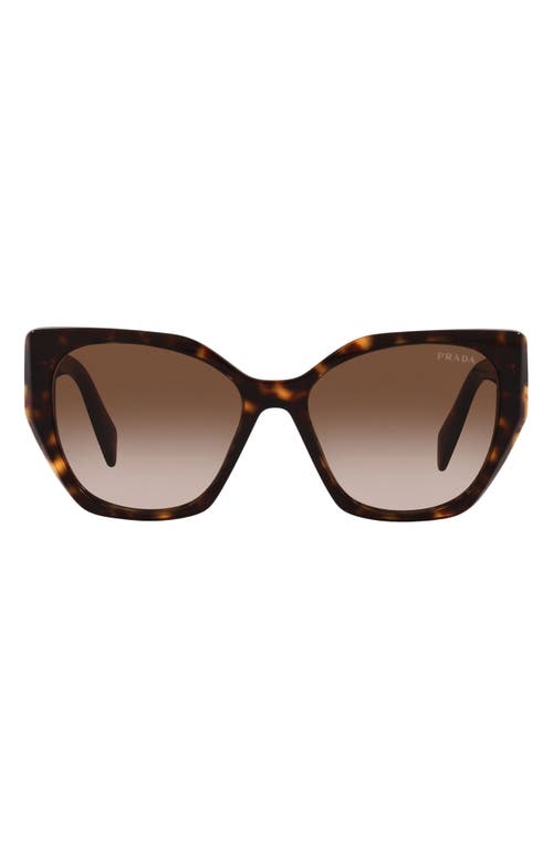 EAN 8056597744249 product image for Prada 56mm Gradient Polarized Rectangular Sunglasses in Tortoise at Nordstrom | upcitemdb.com