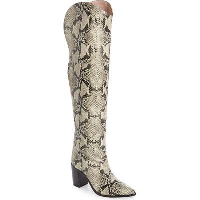 Schutz Anaisha Pointed Toe Over The Knee Boot