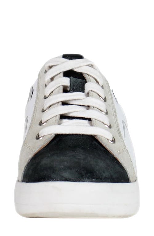 Shop Diba True Yuli Ana Sneaker In Black/white