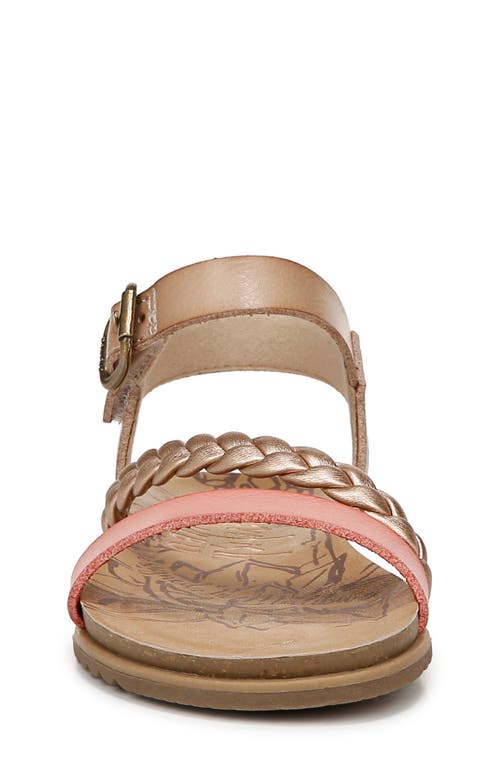Shop Blowfish Footwear Kids' Mylo Sandal In Rose Gold/cashew/pink