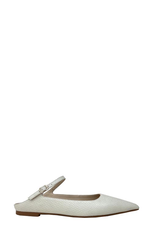 Shop Yosi Samra Vida Pointed Toe Mule In Bone Snake