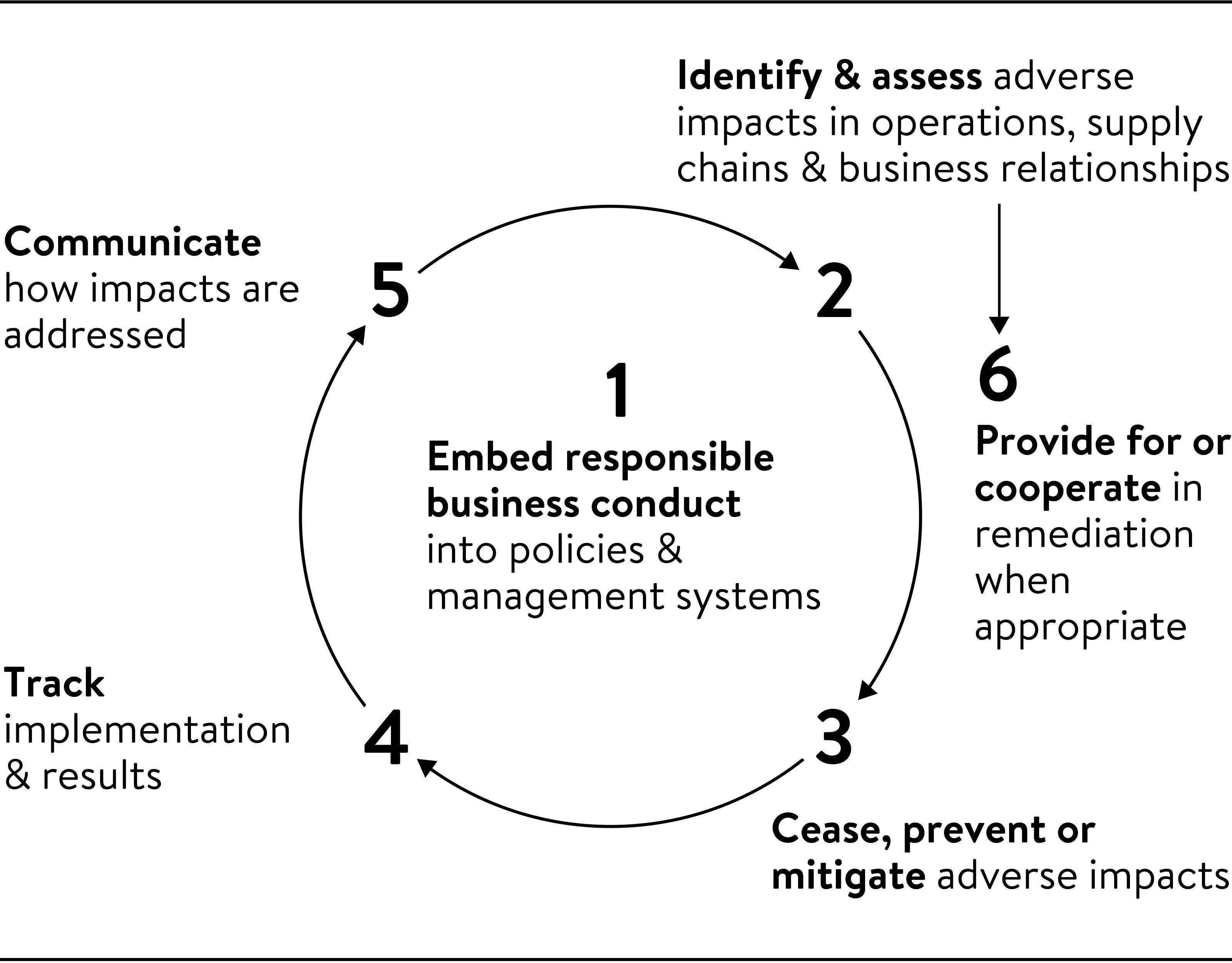 A cycle diagram showing Nordstrom's human rights due diligence process.