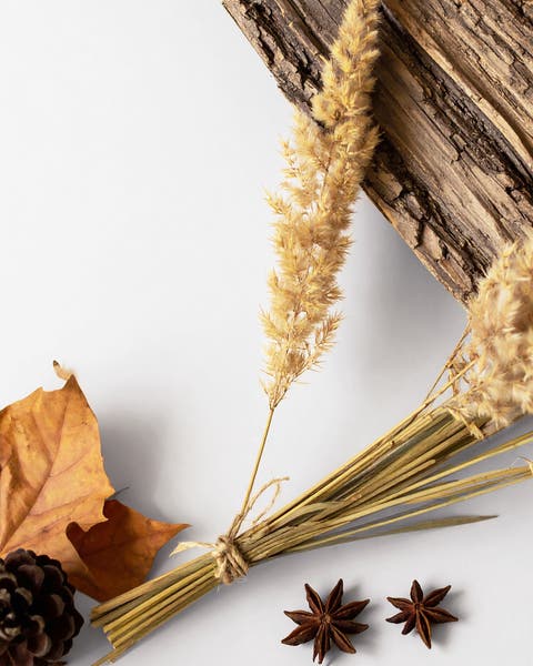 Flat lay with dried pampas grass, fallen maple leaves, star anise, and rustic bark on a white background.