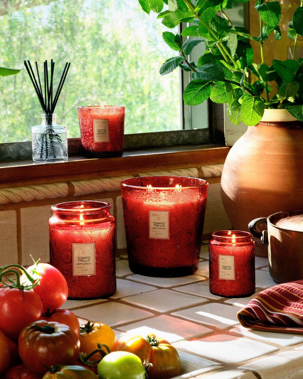 Tomato trellis candles by Voluspa in various sizes. 