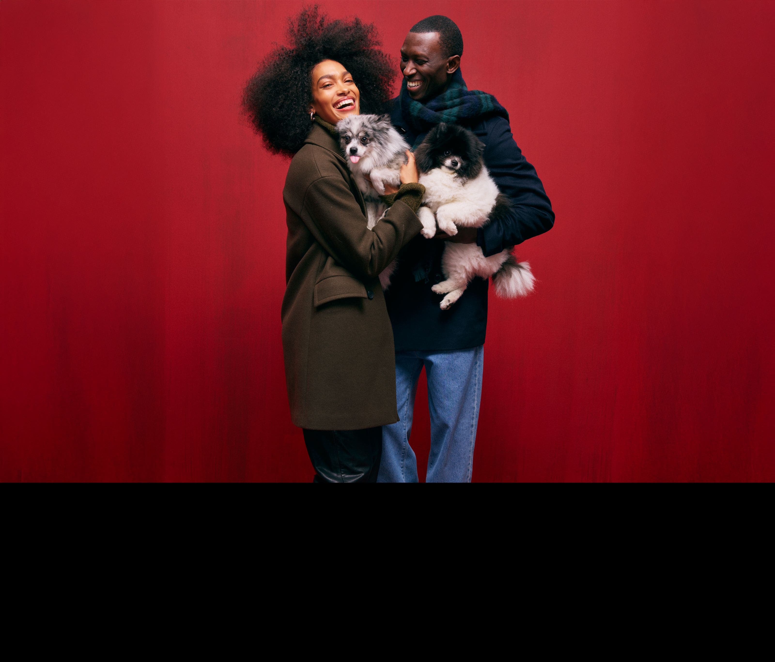 A woman and man holding small dogs.