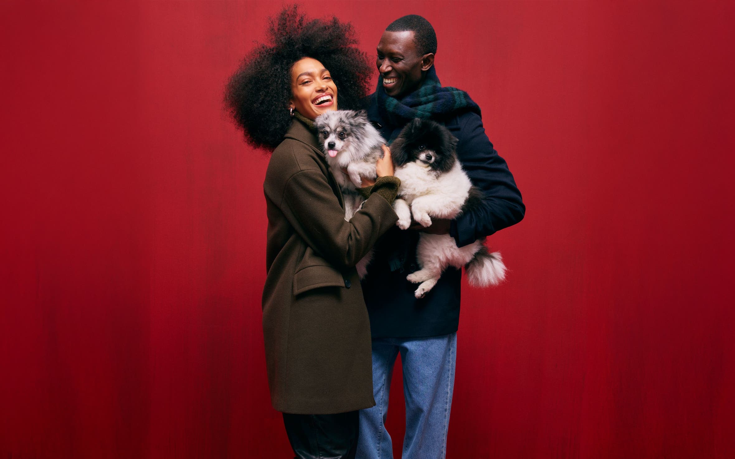 A woman and man holding small dogs.