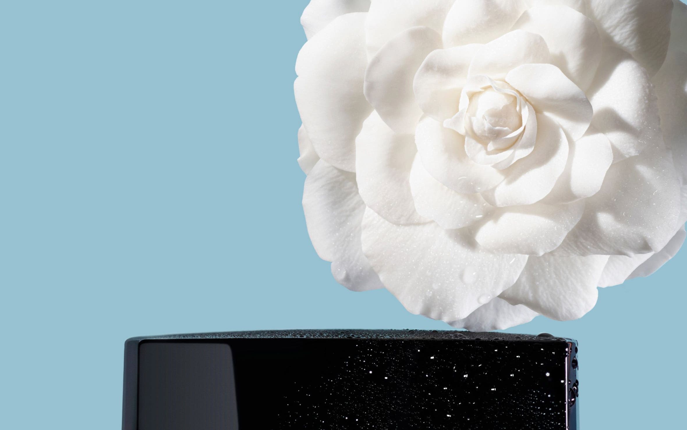 CHANEL gel cream.