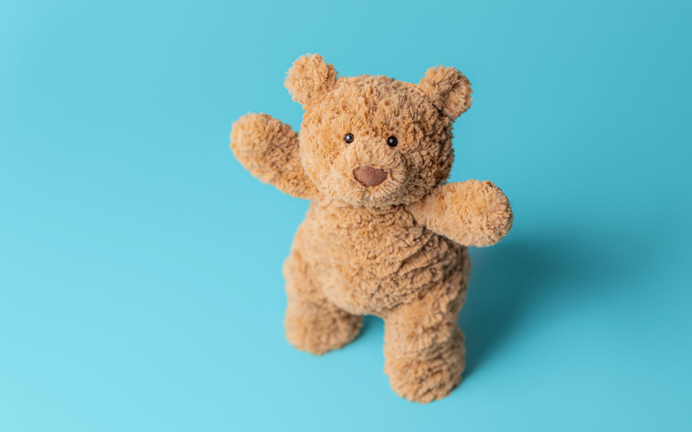 A Jellycat stuffed bear.