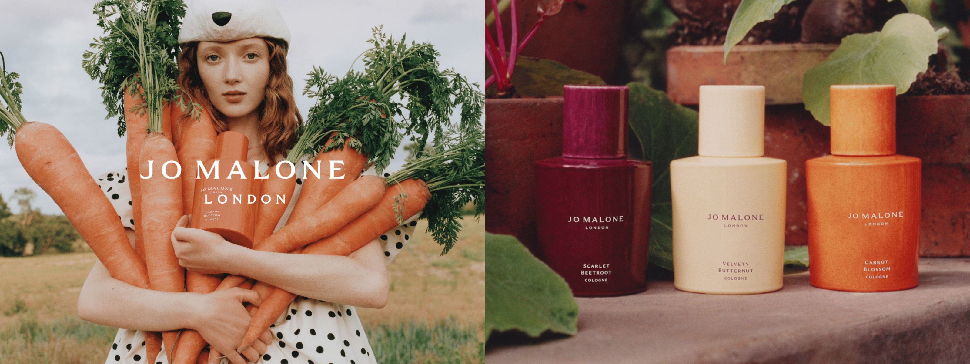 Shop Jo Malone Online | Nordstrom