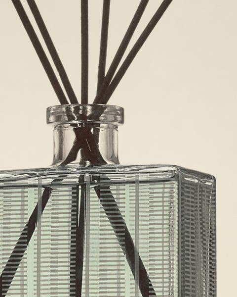 Nest Diffusers.