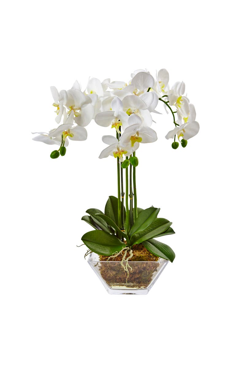 NEARLY NATURAL Triple Phalaenopsis Orchid in Glass Vase, Main, color, White