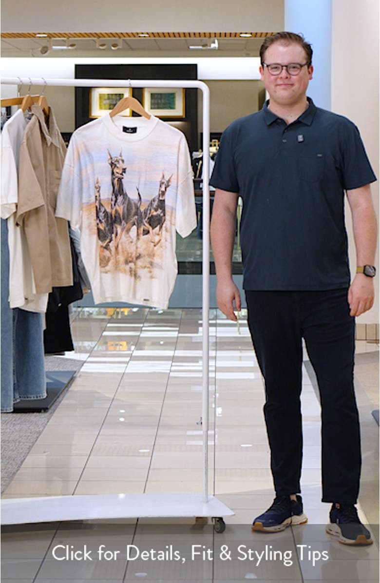 Western Doberman Graphic T-Shirt, sales video thumbnail