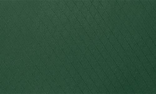 Osprey Daylite Belt Bag In Green Belt/green Canopy