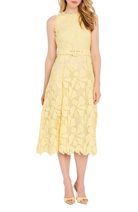 Sleeveless Belted Fit & Flare Dress