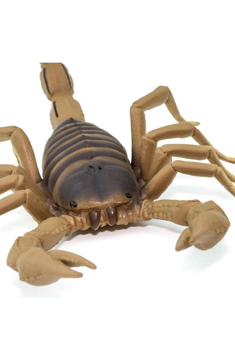 Safari Ltd. Scorpion Toy, Alternate, color, NO COLOR