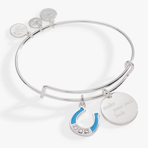 Alex And Ani Make Your Own Luck Duo Charm Bangle Bracelet In Silver