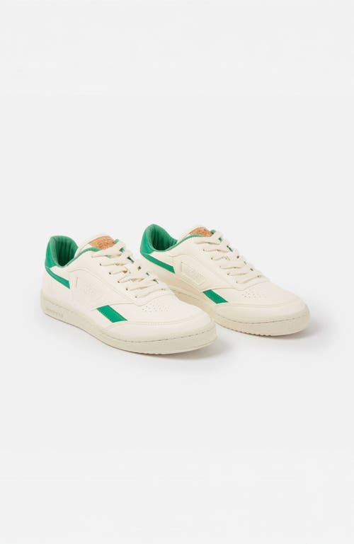 Saye M89 Icon In Jade