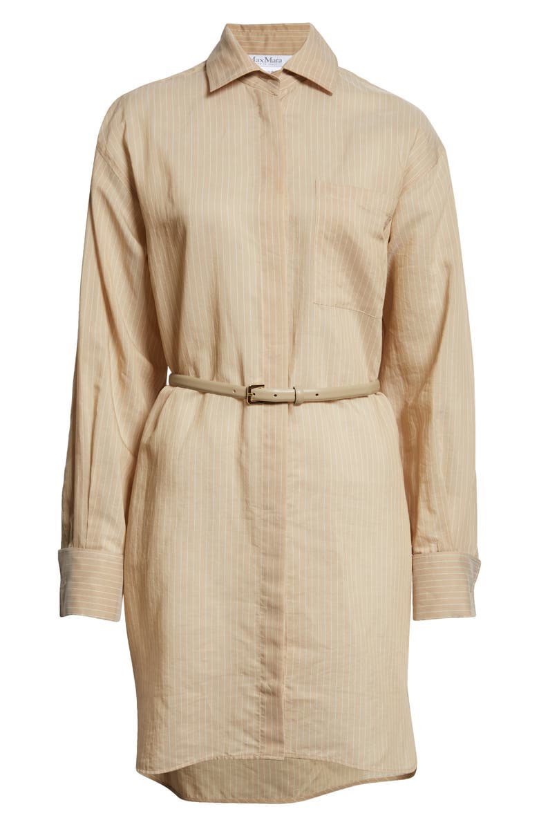Max Mara Brioso Pinstripe Cotton & Silk Shirtdress, Alternate, color, Beige