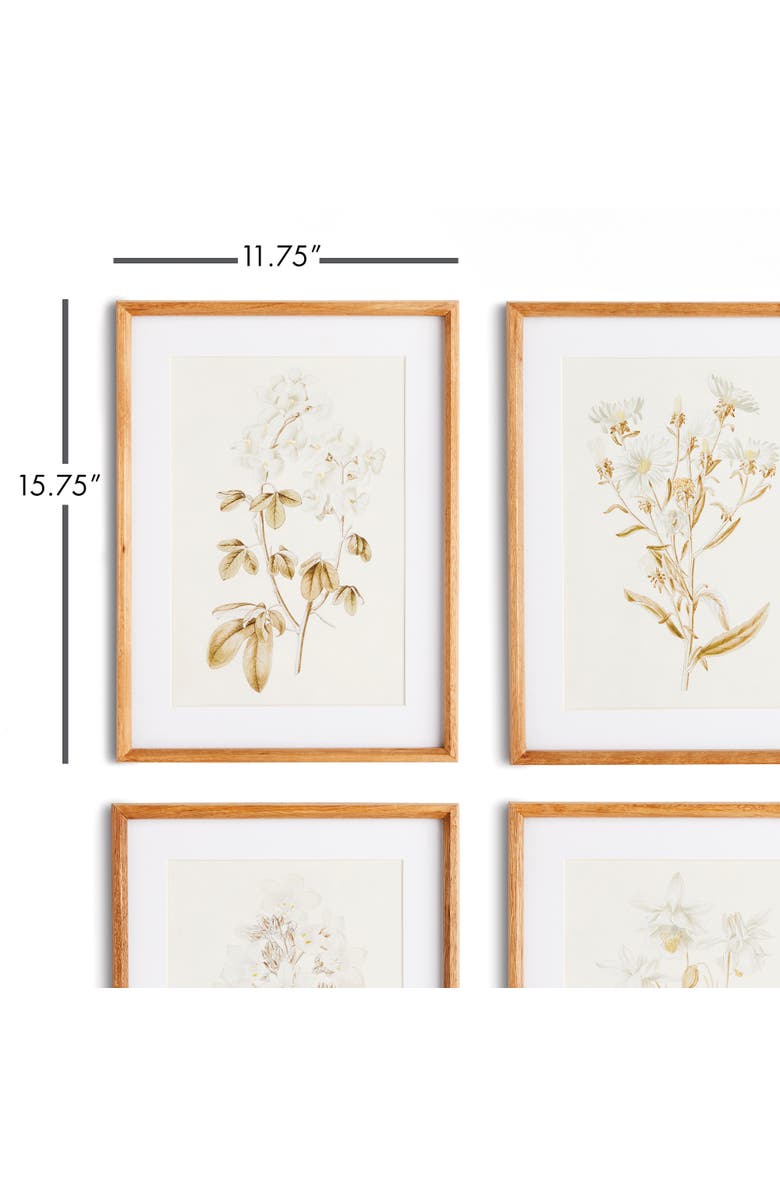 Napa Home & Garden Fleur De Blanc Prints Set of 4, Alternate, color, 