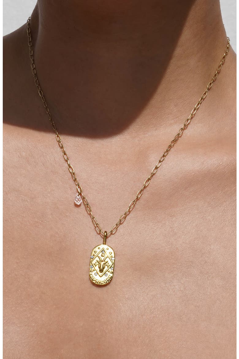 Cielo Zodiac Pendant Necklace, Alternate, color, CAPRICORN/ GOLD