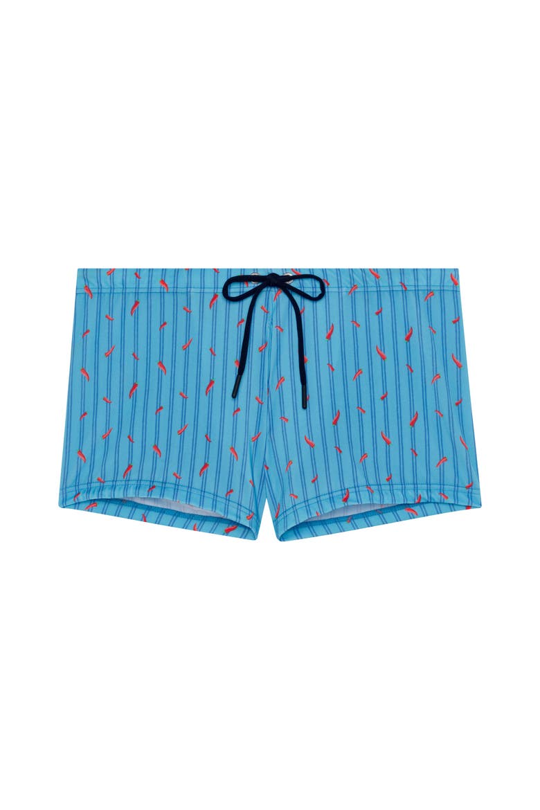 Espelette Swim Shorts, Main, color, Turquoise Print
