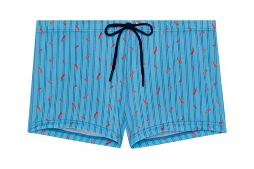 Hom Espelette Swim Shorts In Turquoise Print