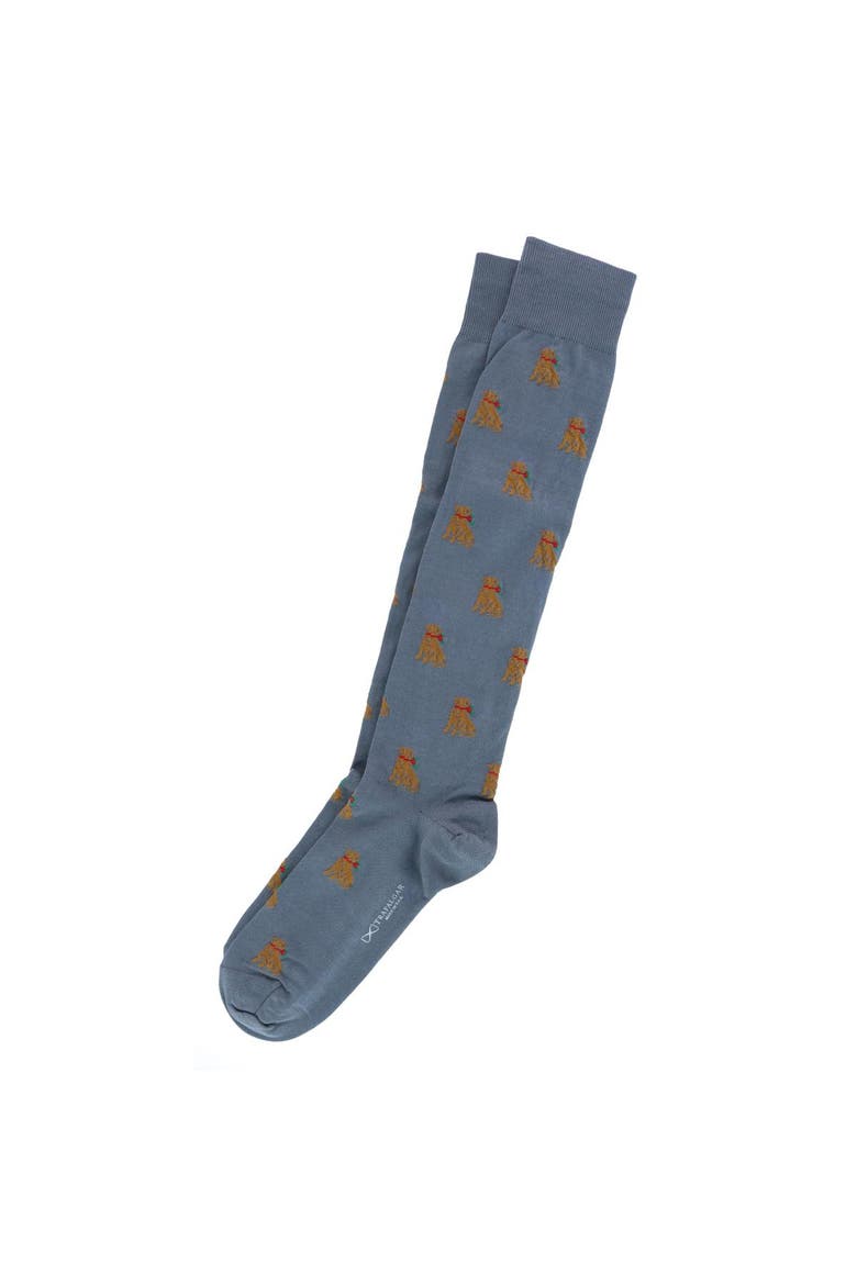 Chestnut the Winter Pup Over The Calf Mercerized Cotton Socks, Alternate, color, Steel Grey