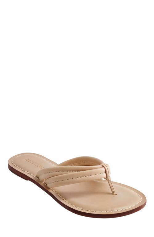 BERNARDO FOOTWEAR BERNARDO FOOTWEAR MIAMI THONG SANDAL