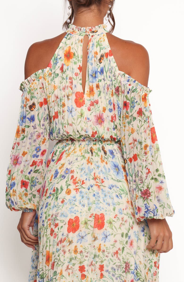 Petal & Pup Hilary Floral Cold Shoulder Maxi Dress, Alternate, color, Garden Floral