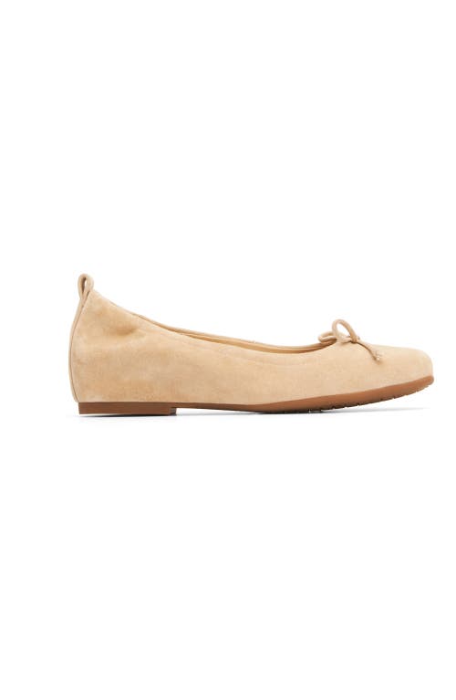 Abeo Cadence Bow Ballet Flat In Cuban Sand Suede - Metatarsal