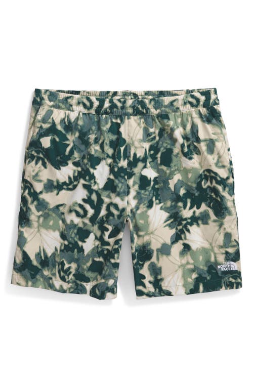 THE NORTH FACE THE NORTH FACE CLASS V PATHFINDER SHORTS 