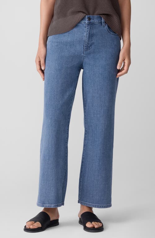 Eileen Fisher High Waist Ankle Straight Leg Jeans In Blue