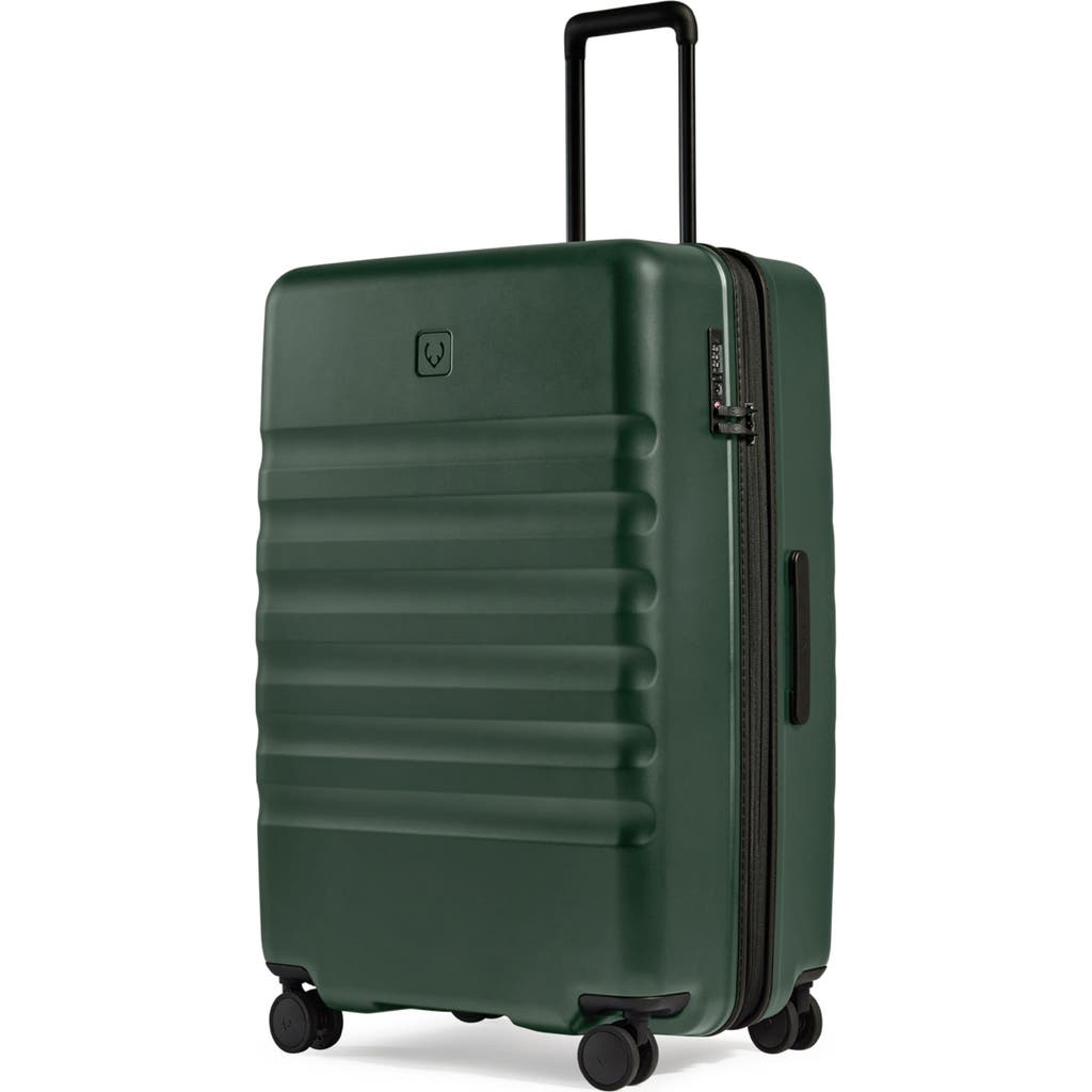 Antler Icon Stripe Large Suitcase In Green