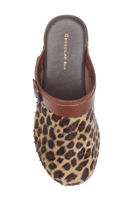 Chocolat Blu Faro Genuine Calf Hair Platform Mule In Multi