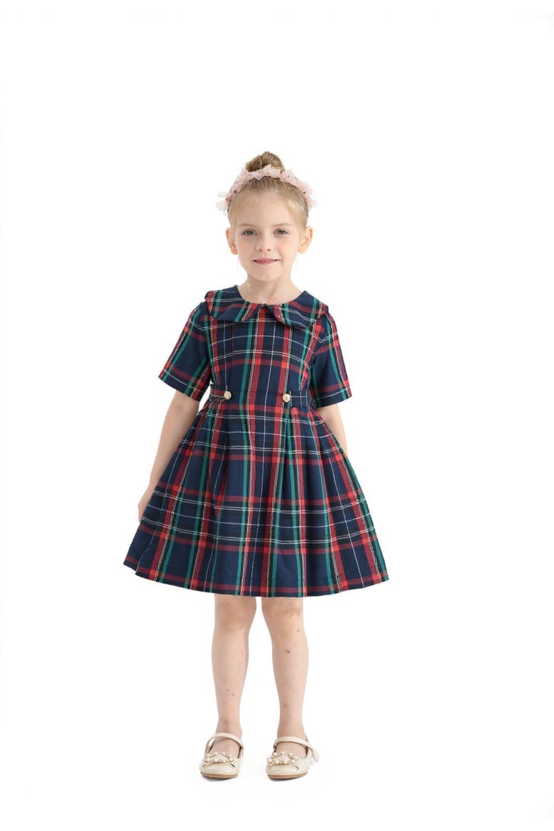 Plaid Button-Waist Dress, Alternate, color, Red