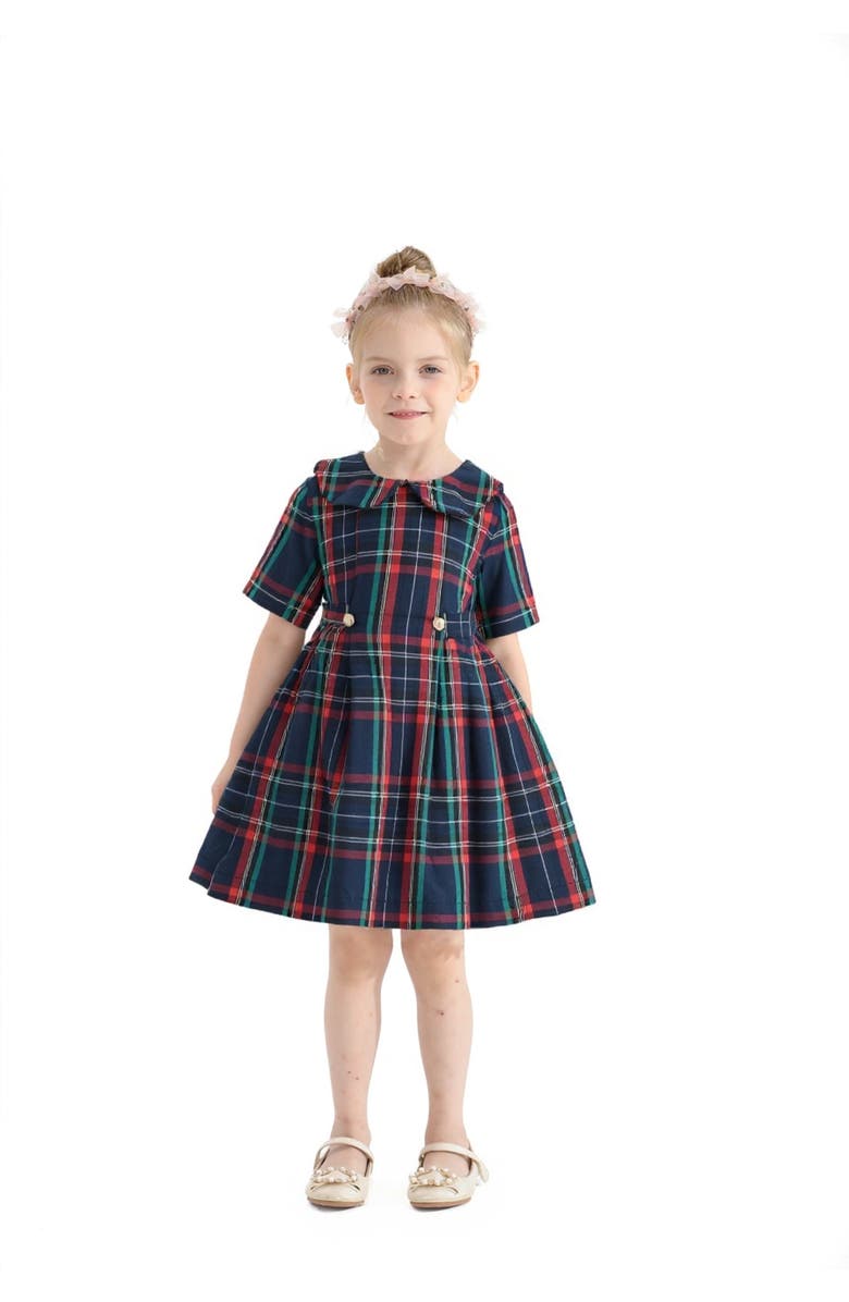 Tulleen Plaid Button-Waist Dress, Alternate, color, Red