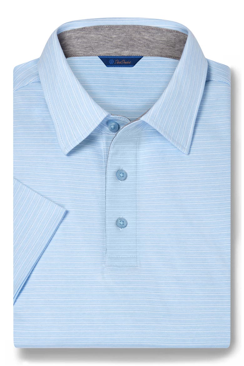 Stripe Cotton Polo, Alternate, color, SKY