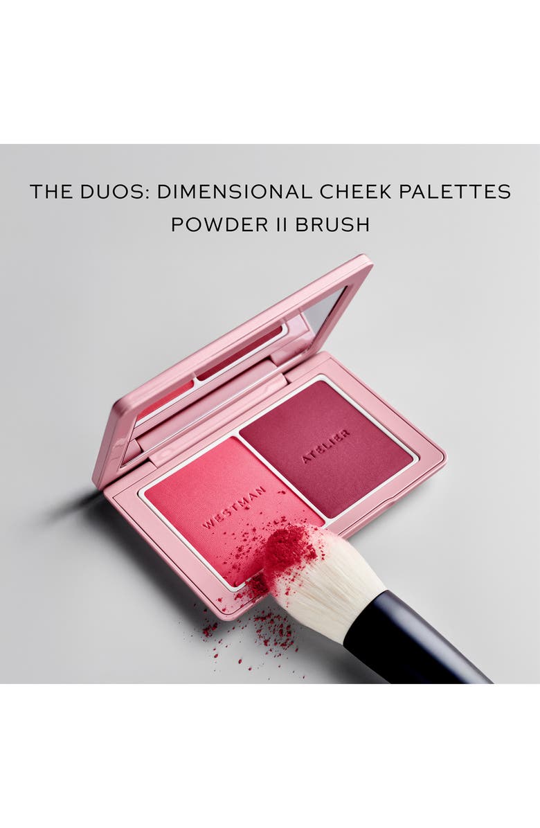 Westman Atelier Powder Brush II, Alternate, color, 