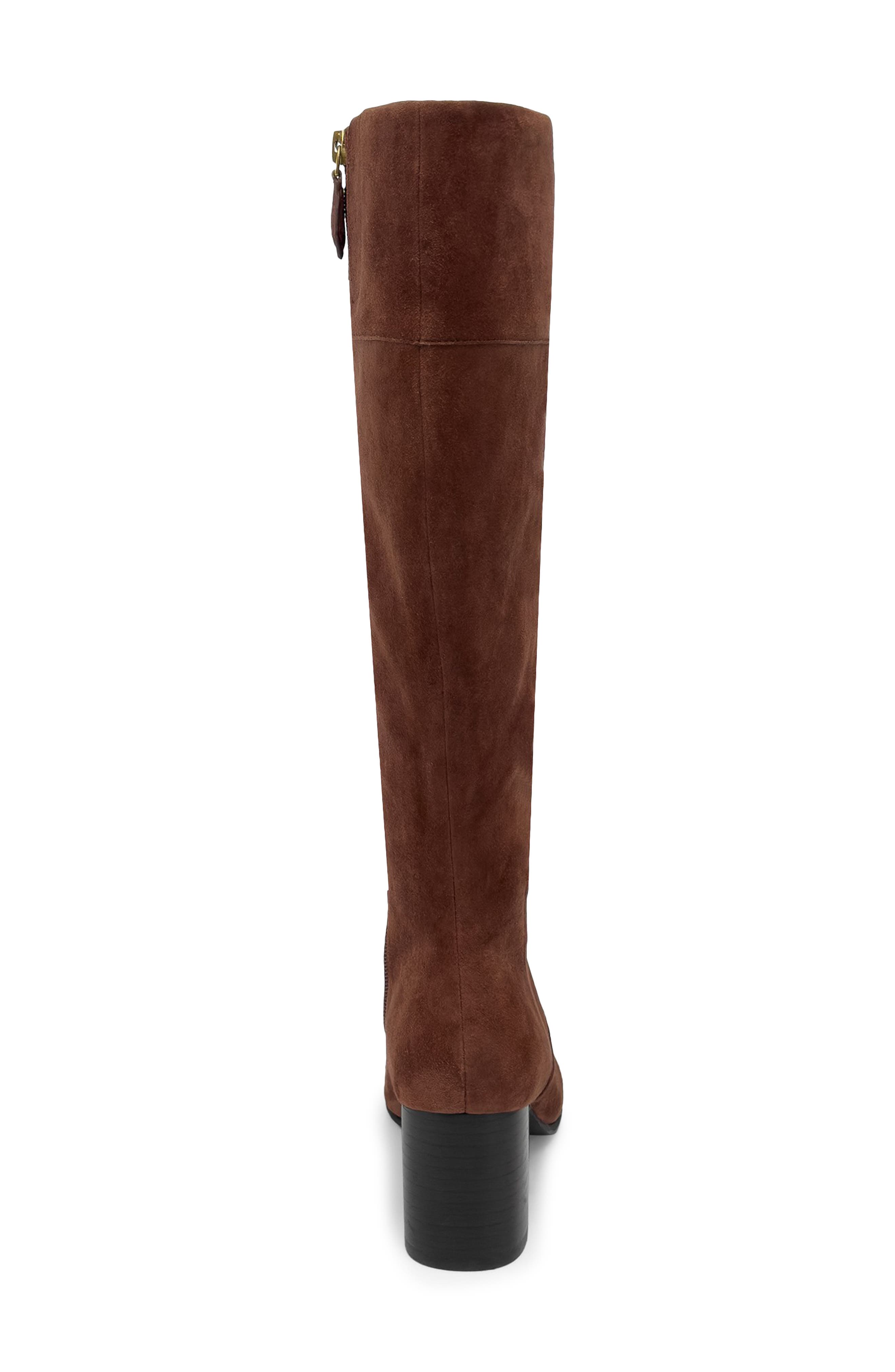 Aerosoles Minerva Knee High Boot, Alternate, color, Sequoia Suede