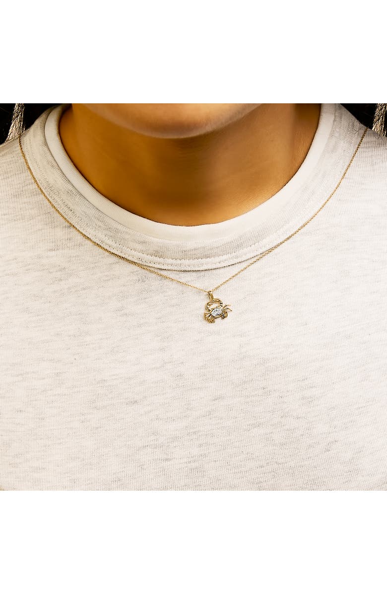 Haus of Brilliance 14K Yellow Gold 1/5 Cttw Lab Grown Diamond Crab Pendant Necklace, Alternate, color, Yellow Gold
