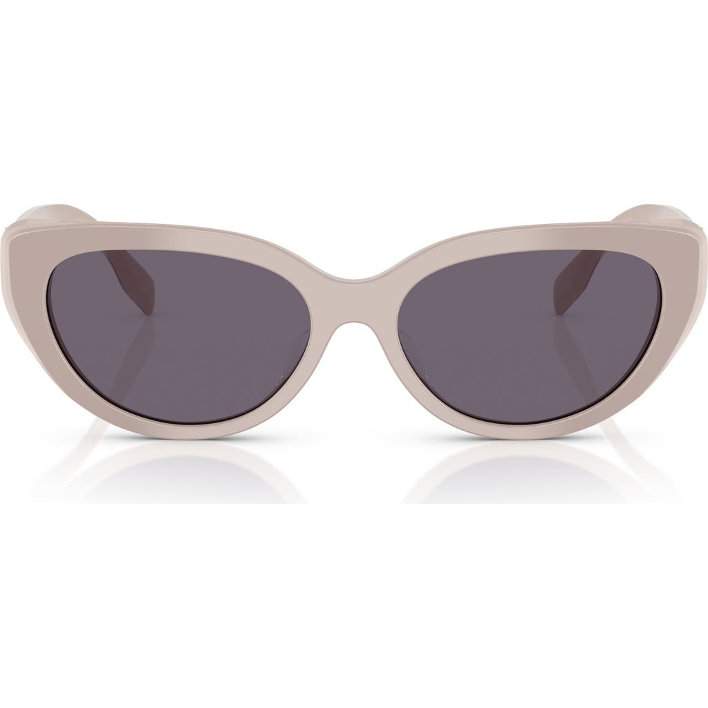 Tory Burch 55mm Cat Eye Sunglasses In Crystal