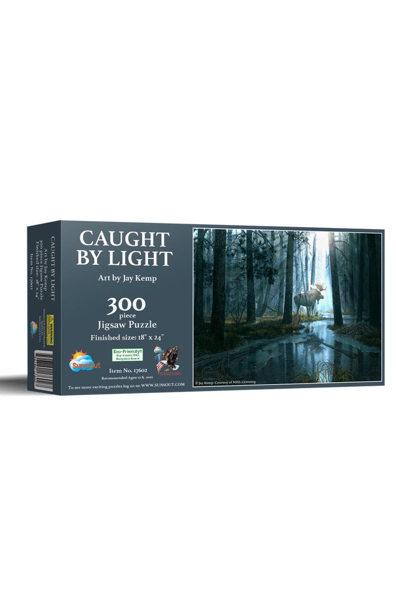 Caught by Light 300 piece Jigsaw Puzzle for Adults, Main, color, Multicolor
