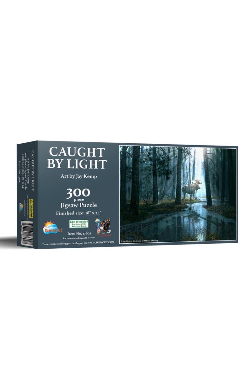 Sunsout Caught by Light 300 piece Jigsaw Puzzle for Adults, Main, color, Multicolor