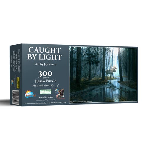 Caught by Light 300 piece Jigsaw Puzzle for Adults