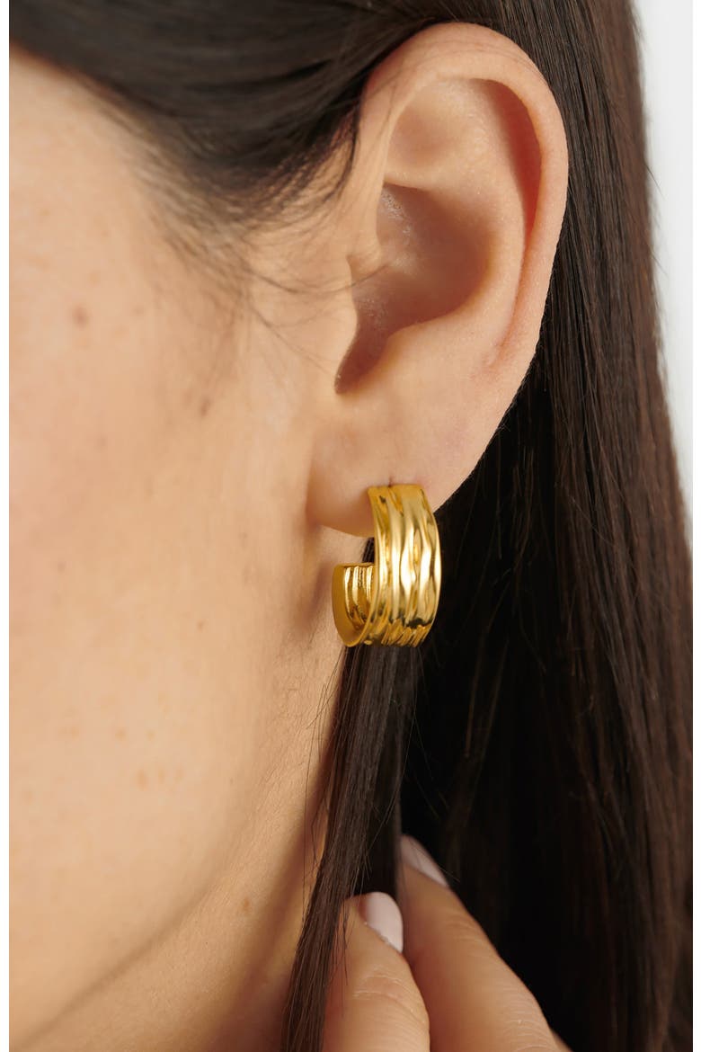 Cleyo Hoop Earrings, Alternate, color, Gold